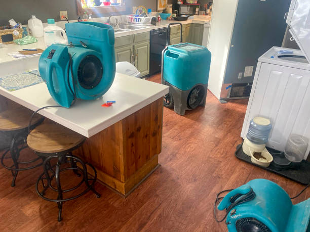 Best Flood damage cleanup  in Deming, NM