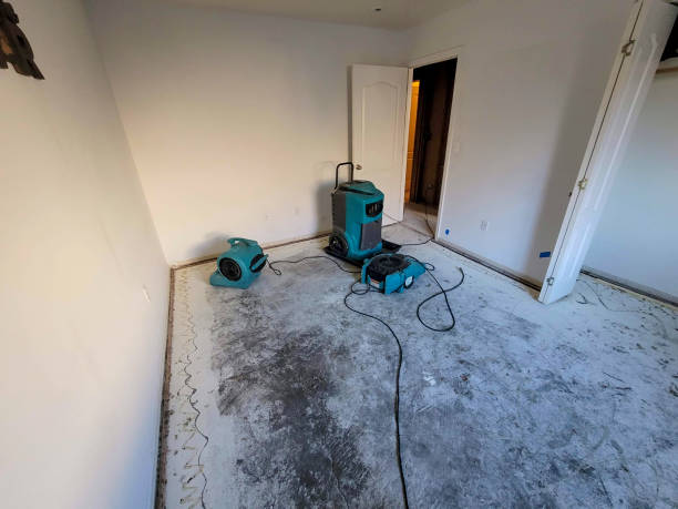 Best Flood restoration services  in Deming, NM
