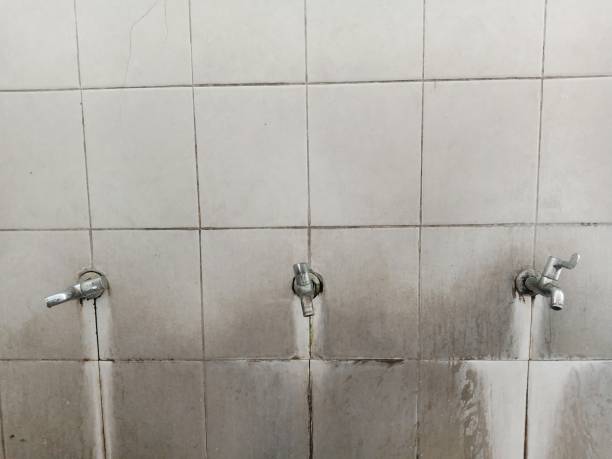 Best Mold removal after water damage  in Deming, NM