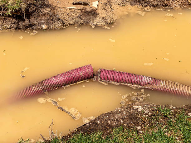 Water damage restoration mold remediation in Deming, NM
